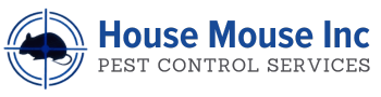 website-logo